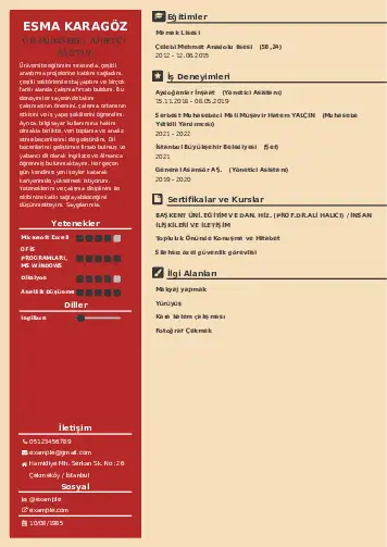 Yönetici Asistanı Cv Örnekleri cv indir